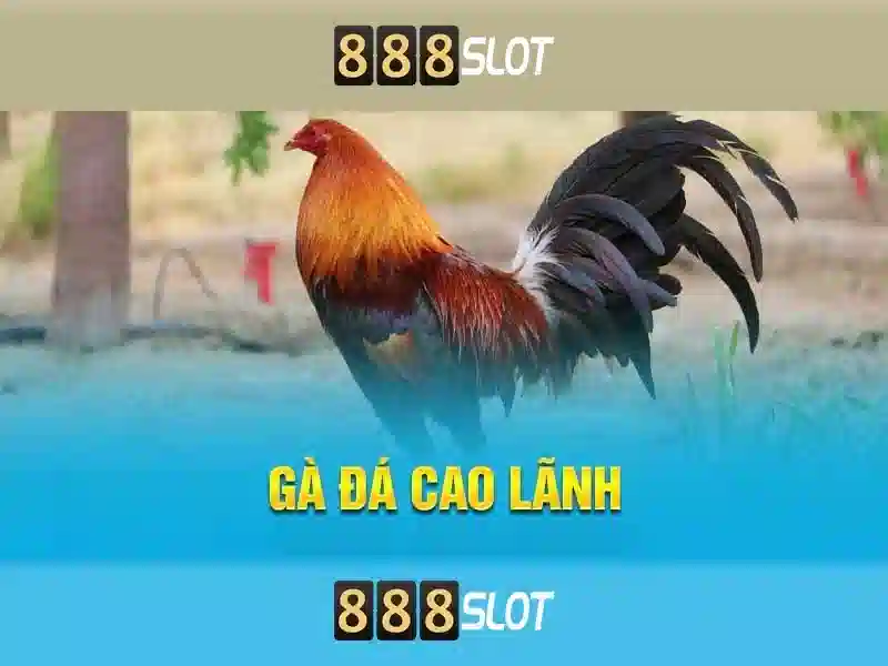 Khuyến mãi và chương trình thưởng