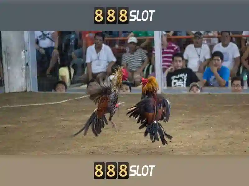 888slot là gì và tại sao được nhiều người quan tâm 888slot là gì và tại sao được nhiều người quan tâm
