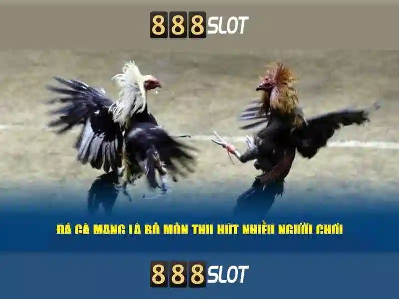 Việt Vị Trong Bóng Đá