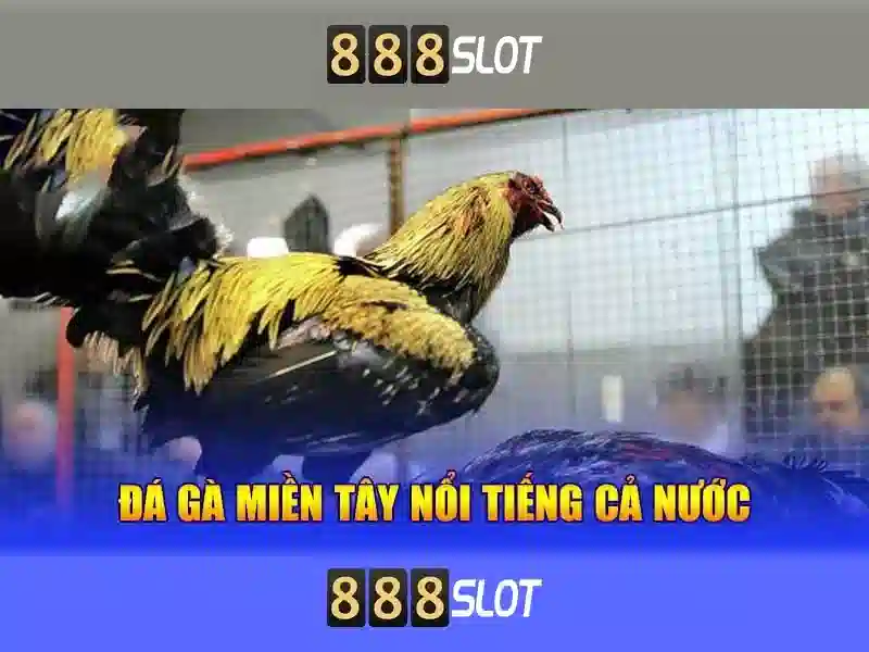 Trải nghiệm người dùng và thiết kế Trải nghiệm người dùng và thiết kế