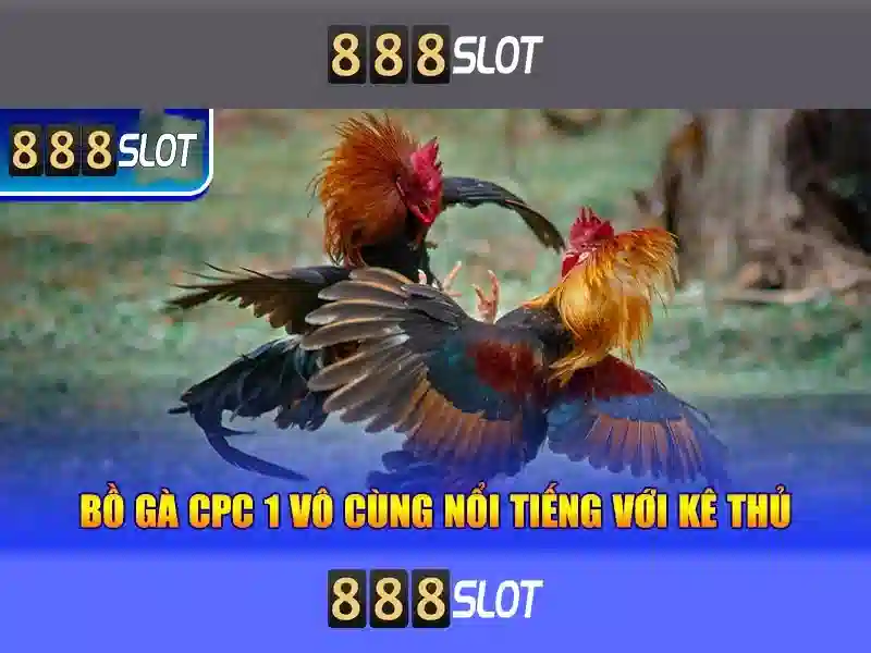 Hỗ trợ khách hàng và trải nghiệm người dùng