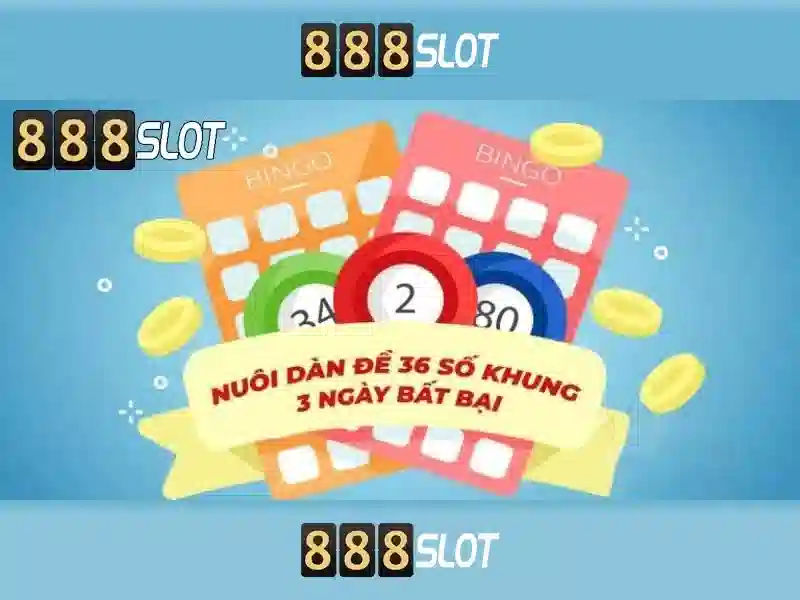 Trải nghiệm người dùng và khuyến mãi