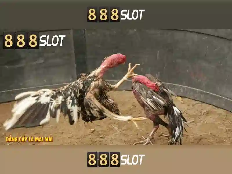 Việt Vị Trong Bóng Đá