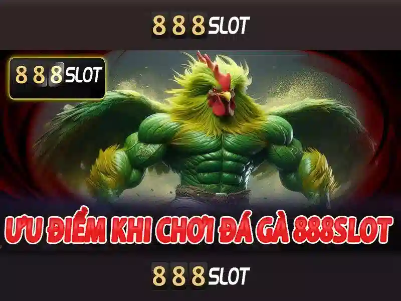 Giao diện và trải nghiệm người dùng