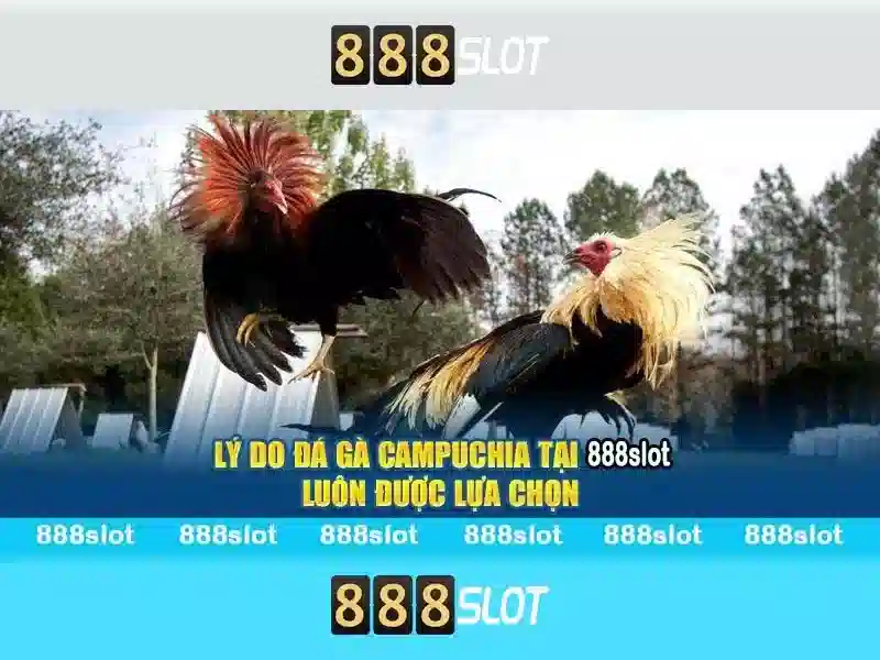 Việt Vị Trong Bóng Đá