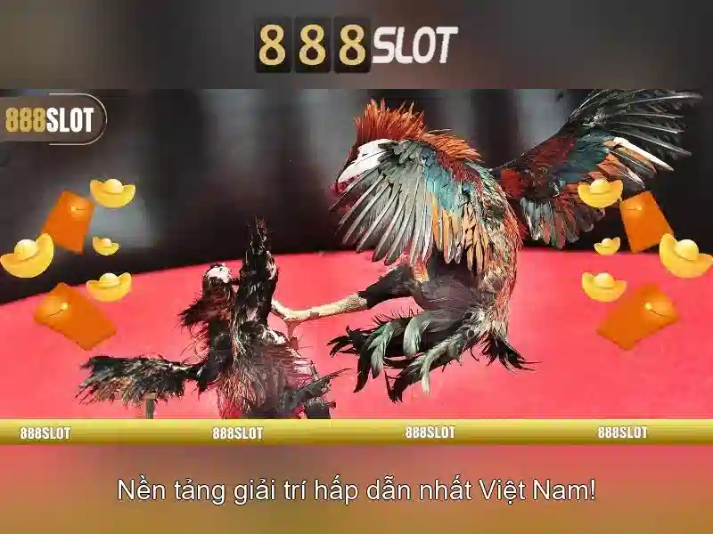 Trải nghiệm di động Trải nghiệm di động