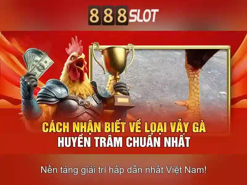 Việt Vị Trong Bóng Đá