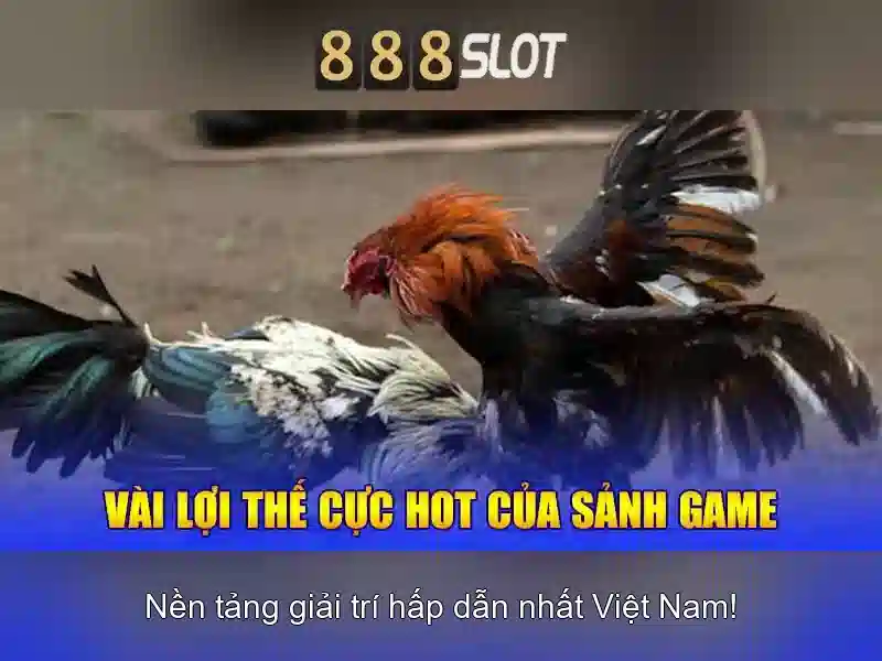 Hỗ trợ khách hàng và cách đăng ký Hỗ trợ khách hàng và cách đăng ký